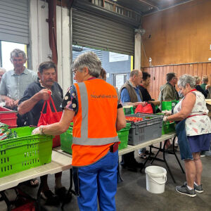 Volunteers