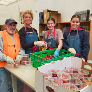 Volunteers