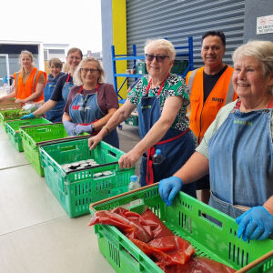 Volunteers