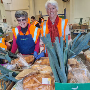 Volunteers