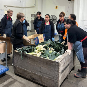 Volunteers